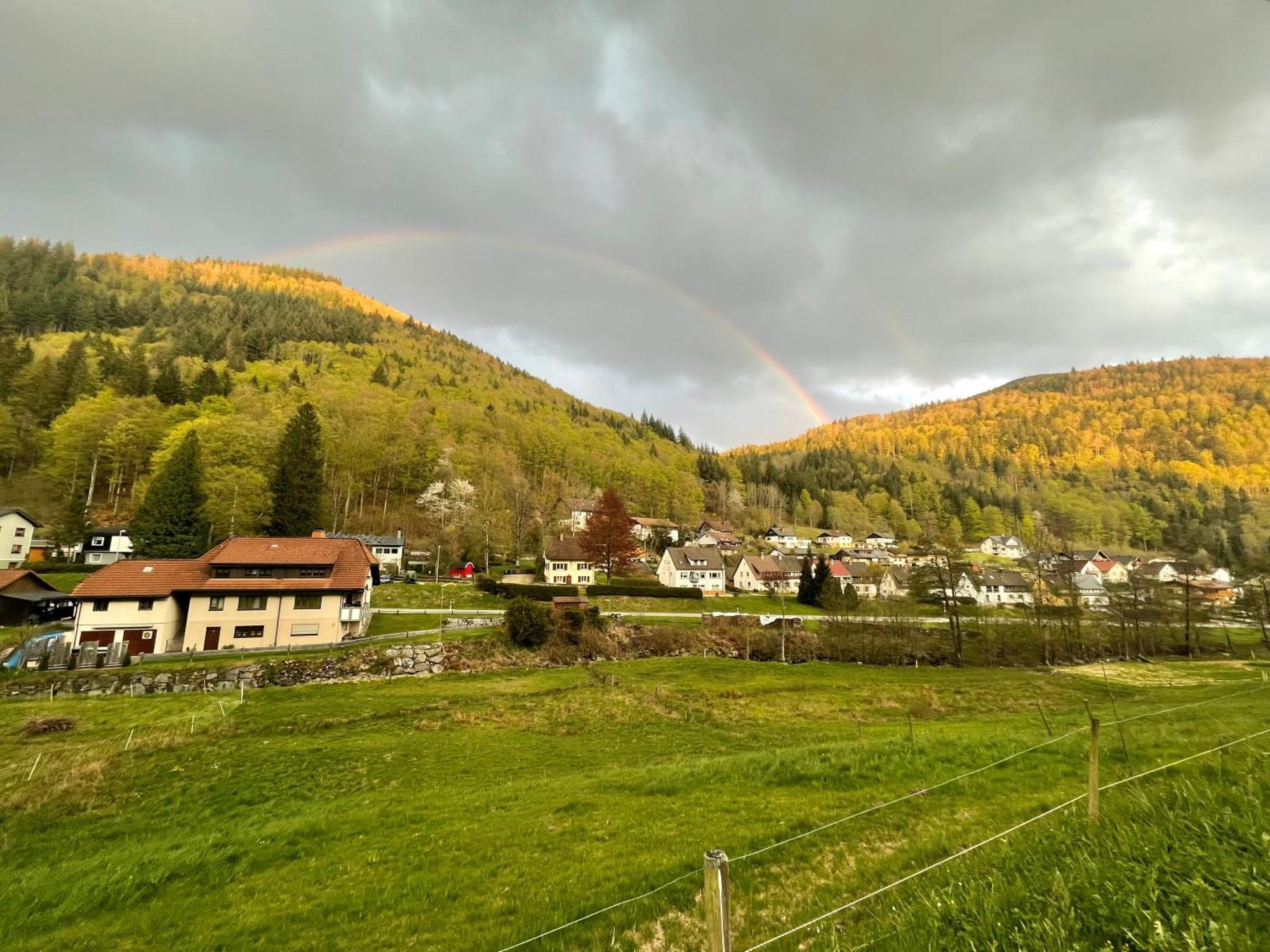 Ferienwohnung Ella, 95Qm, Terrasse Todtnau Exteriör bild
